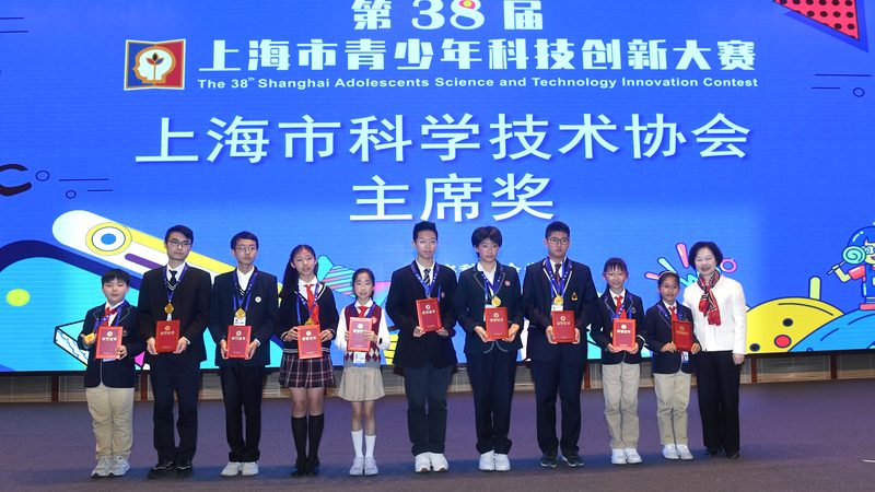 智慧解决方案项目验收标准：如何确保项目质量与性能**
