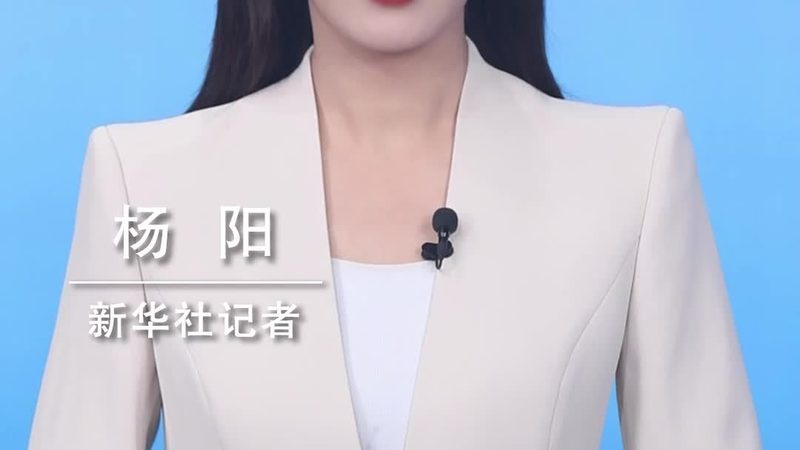 以某省某县为例，该县通过农村信息化建设，实现了以下成果：